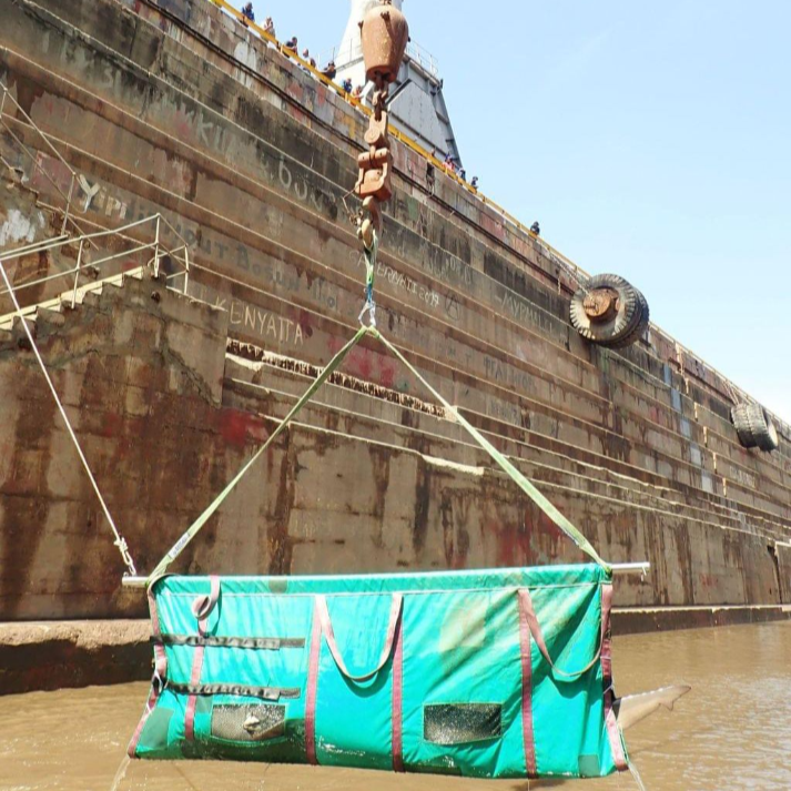 Two Zambezi sharks were rescued after they were trapped in the dry dock in Durban harbour.