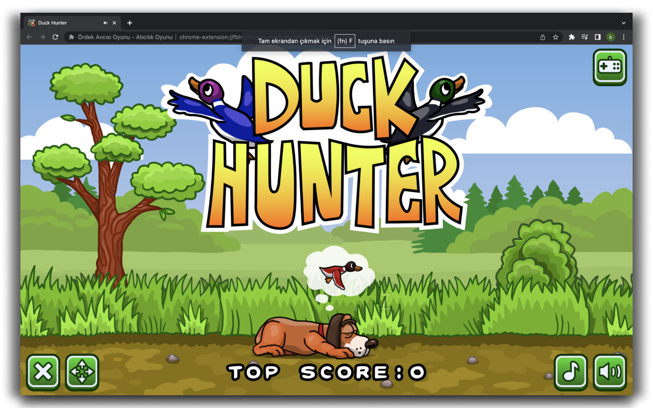 Duck Hunter Game - Shooting Game Preview image 4