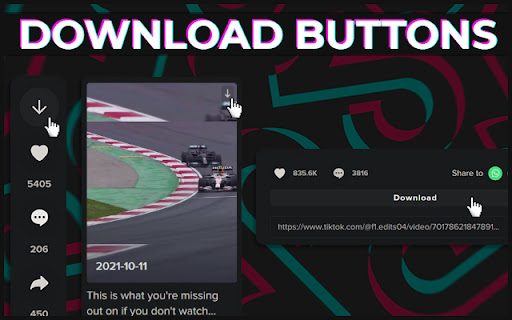 TikTok Download Buttons