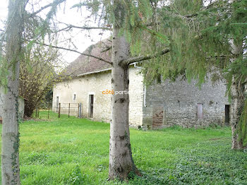 locaux professionnels à Châteauneuf-sur-Cher (18)