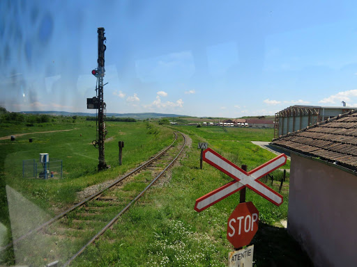 Transylvanian Winery România 2016