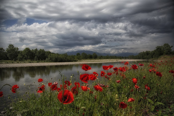 Vicino al fiume di utente cancellato