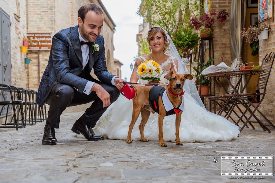 Весільний фотограф Luca Cameli (lucacameli). Фотографія від 20 вересня 2018