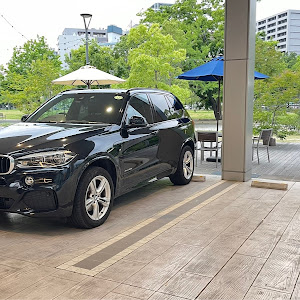 X5 xDrive 35d