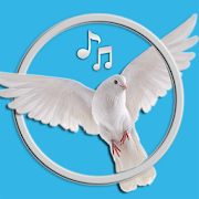 Bird Sounds & Ringtones  Icon