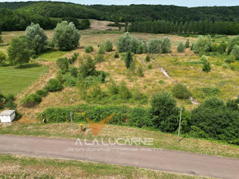 terrain à Molay (89)