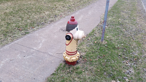 Firefighter Painted Fire Hydrant 