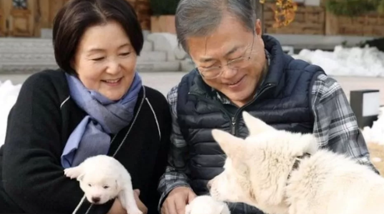 Moon Jae-in said he was able to continue as their caretaker after he left his post