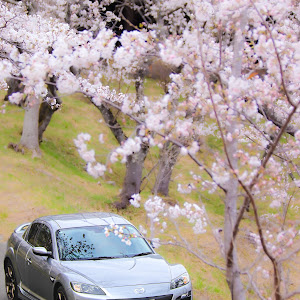 RX-8 SE3P