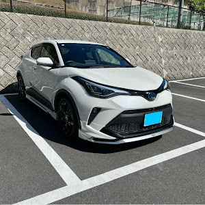 C-HR ZYX11