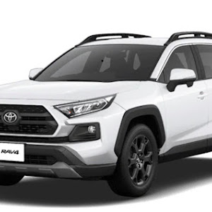 RAV4 MXAA54