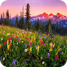 Mountain Flowers icon