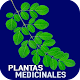 Plantas Medicinales y Sus Usos Gratis Download on Windows