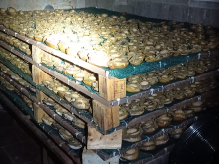 Cape Town police arrested a 43-year-old man for operating an illegal abalone processing facility at a house in Constantia. They seized abalone worth about R2m.