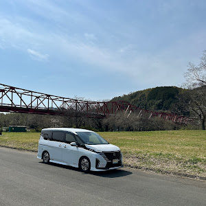 セレナ C28