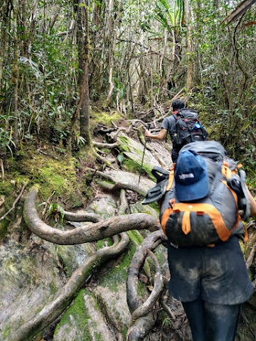 Gunung Tahan Climbing