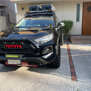 RAV4 MXAA54