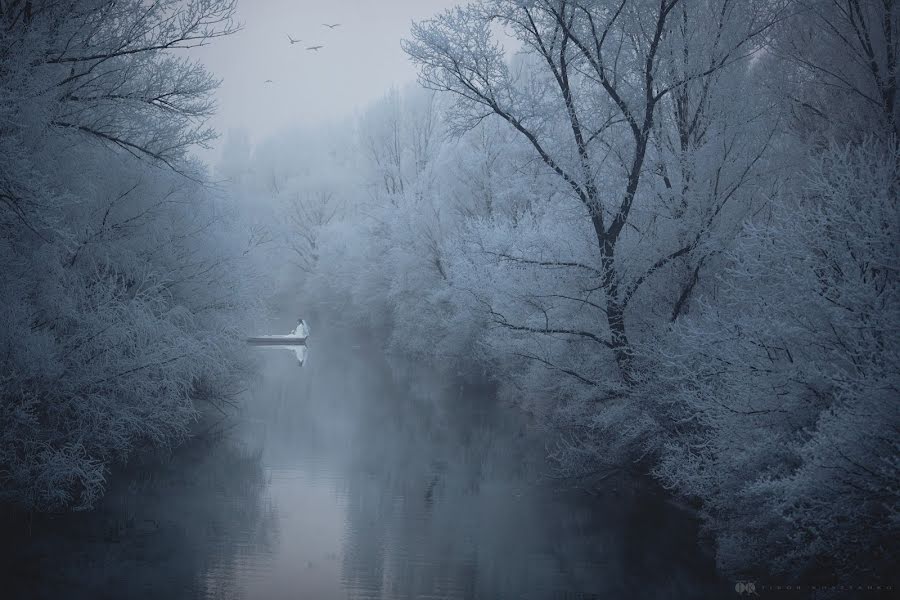 Photographer sa kasal Tibor Kosztanko (svadobnyfotograf). Larawan ni 23 Nobyembre 2018