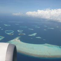 SOTTO...L'ACQUA DELLE ISOLE MALDIVE di 