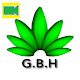 Download G B H Video Chat - Green Buds Hydroponics For PC Windows and Mac 1.0.3