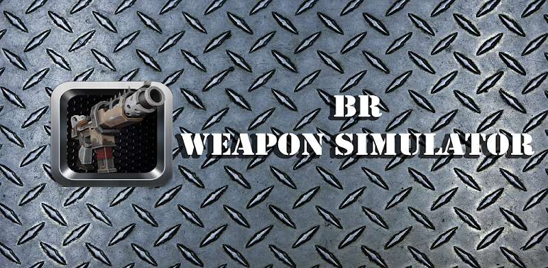 BR Weapon Simulator