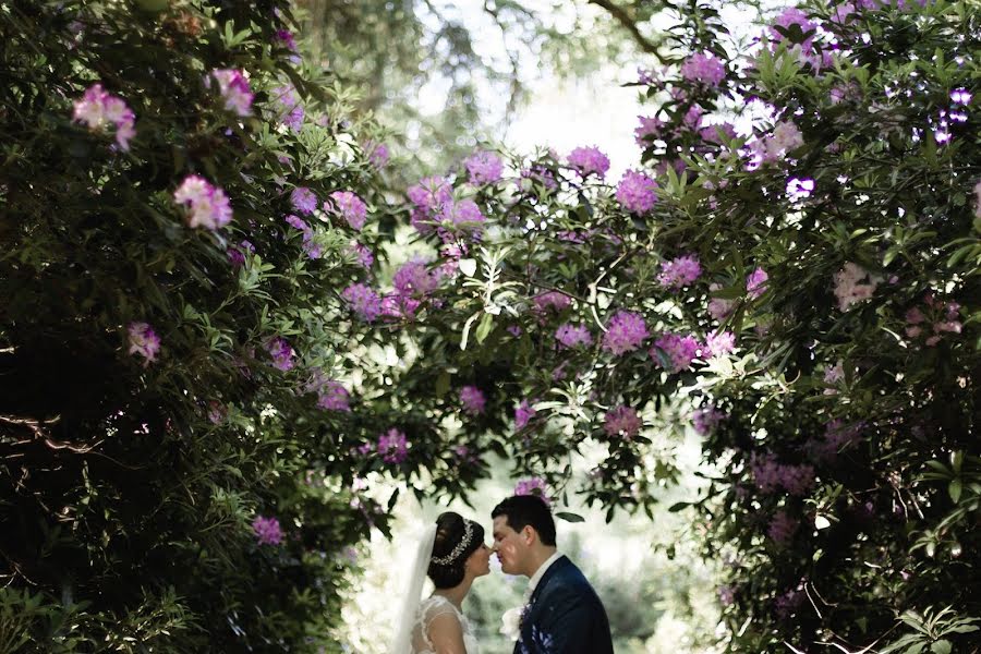 Hochzeitsfotograf Lieke Huiting (liekehuiting). Foto vom 5. März 2019