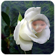 Download Red Rose Photo Frame Latest HD For PC Windows and Mac 1.0