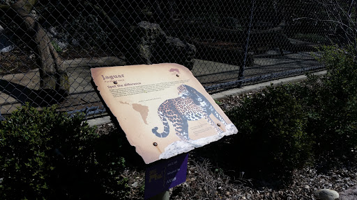 Jaguar Exhibit