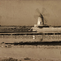 Saluti da Marsala di 