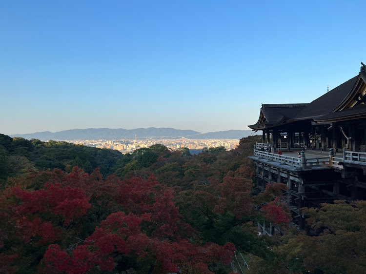 の投稿画像28枚目