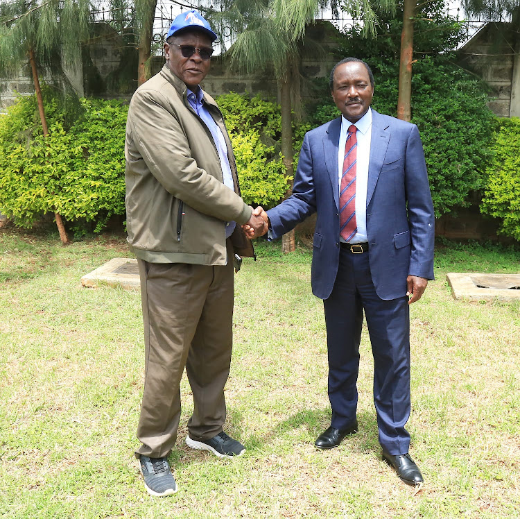 Stephen Kalonzo Wiper Democratic Movement Party Leader shakes hands with Turkana Senator Malachy Ekal on February 23