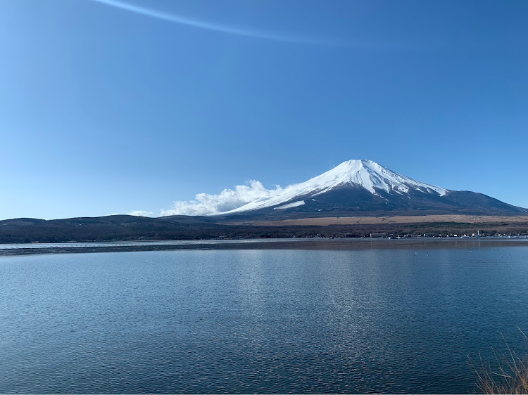 の投稿画像3枚目