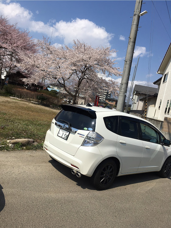 フィットのセリカ・桜・プチ花見に関するカスタム事例の投稿画像2枚目