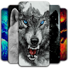 Wolf Wallpaper icon