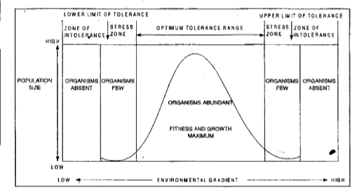 Solution Image