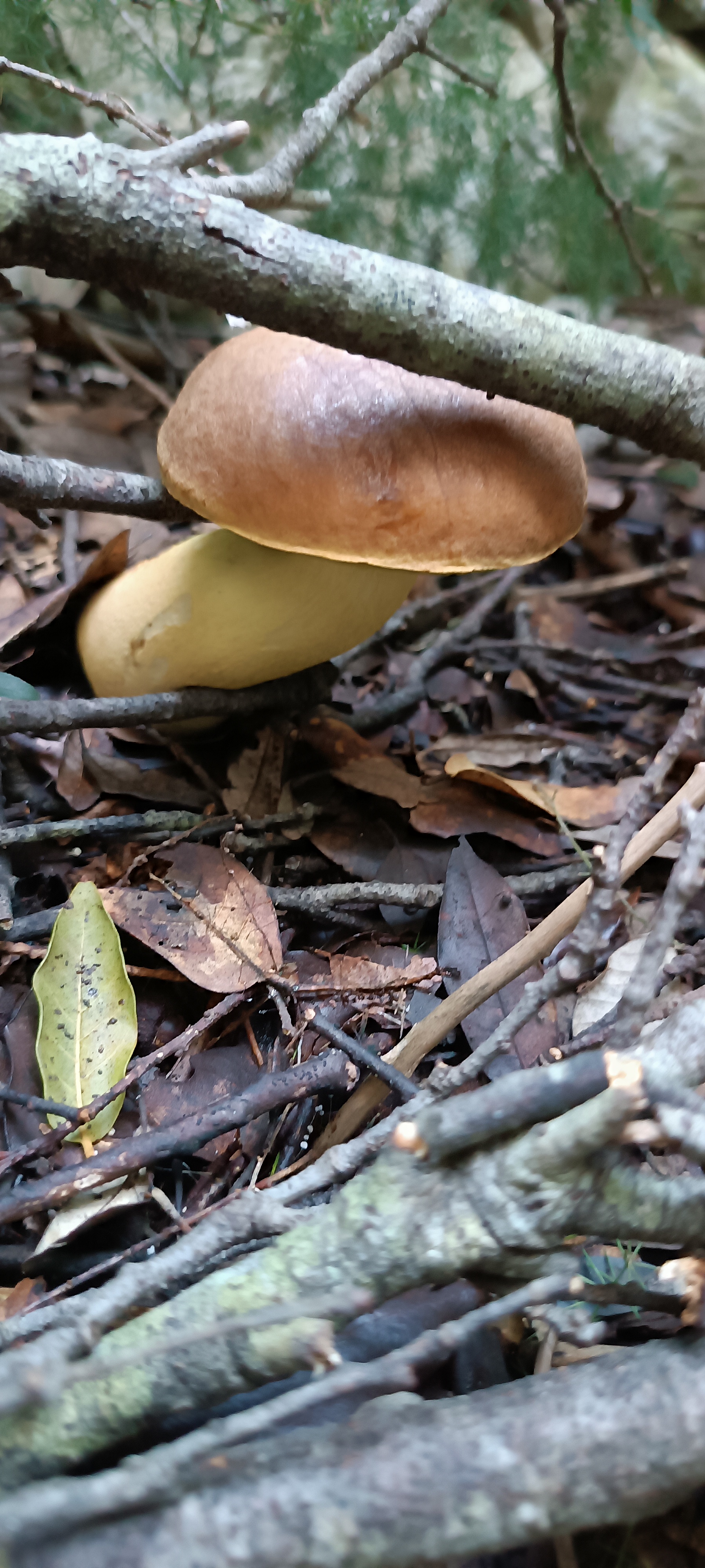 Bellezza della natura  di peppenyc