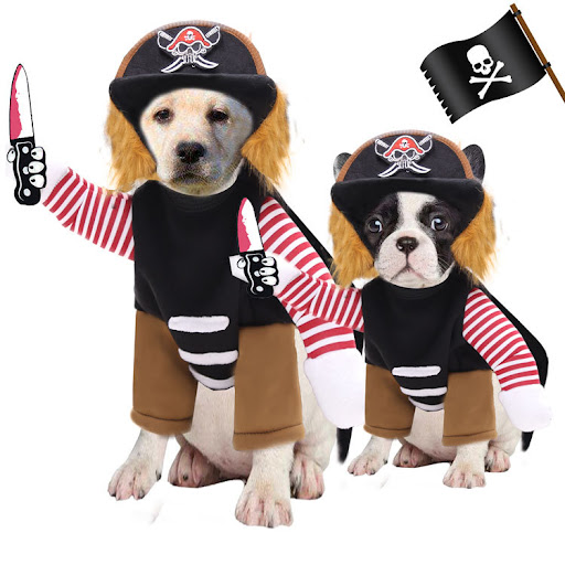 Title 5, Halloween Pet Costumes