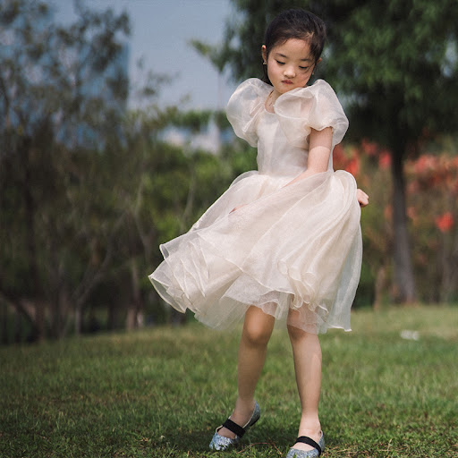 Title 5, Girls Mesh Short Sleeve Puff Sleeve Princess D...