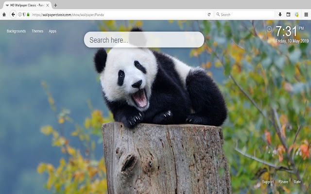 Panda HD Wallpapers New Tab Theme