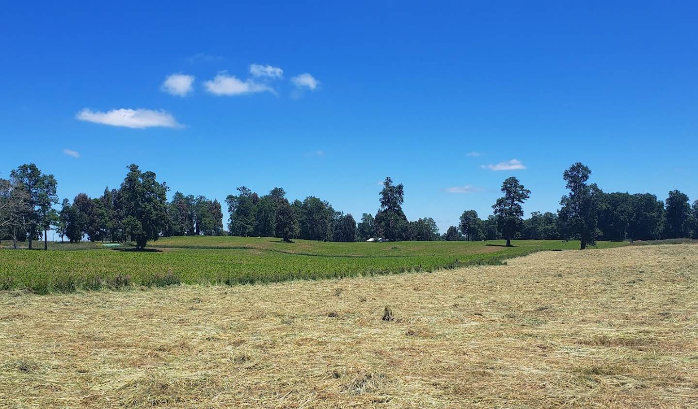 Corps de ferme Valdivia