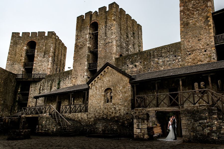 Fotografo di matrimoni Tamara Gavrilovic (tamaragavrilovi). Foto del 14 febbraio 2019