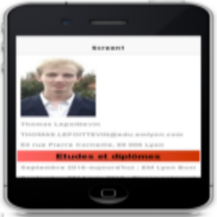 Thomas Lepoittevin CV Codapps Screen 3