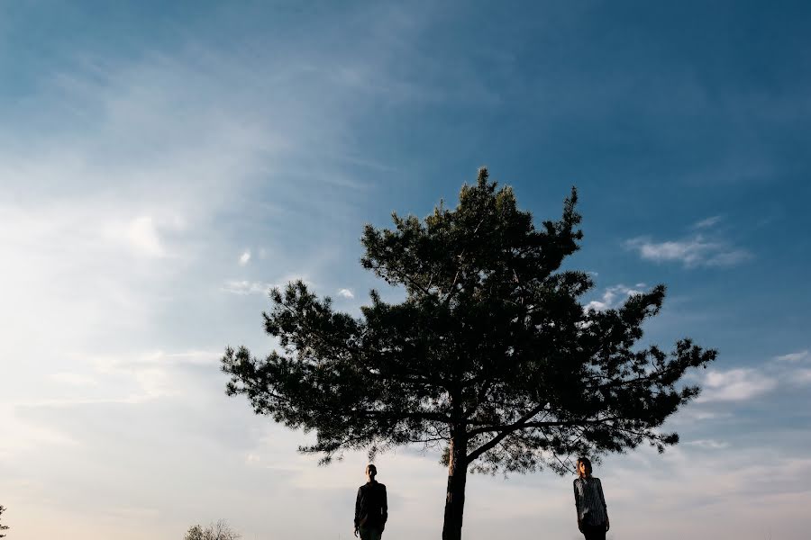 Bryllupsfotograf Denis Kalinkin (deniskalinkin). Bilde av 20 juni 2018