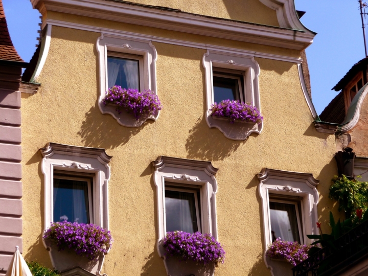 Finestre fiorite di viola di volaura