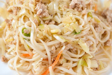 Pot Sticker Noodles