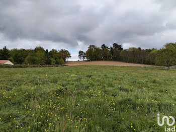 terrain à Eyjeaux (87)