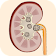 Kidney Stone Symptoms & Treatment icon