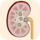 Download Kidney Stone Symptoms & Treatment For PC Windows and Mac 1.1