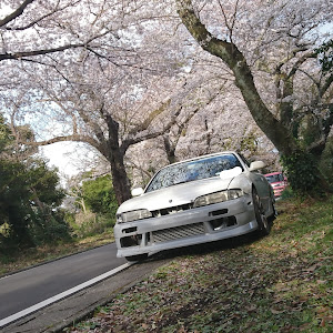 シルビア S14 前期