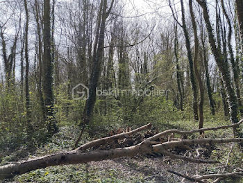 terrain à Moreuil (80)